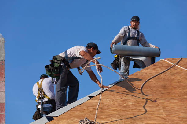 Best Flat Roof Repair Services  in Broad Creek, NC